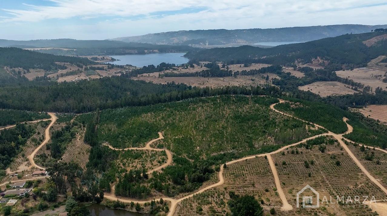 Hermoso Terreno, Lago Vichuquén 